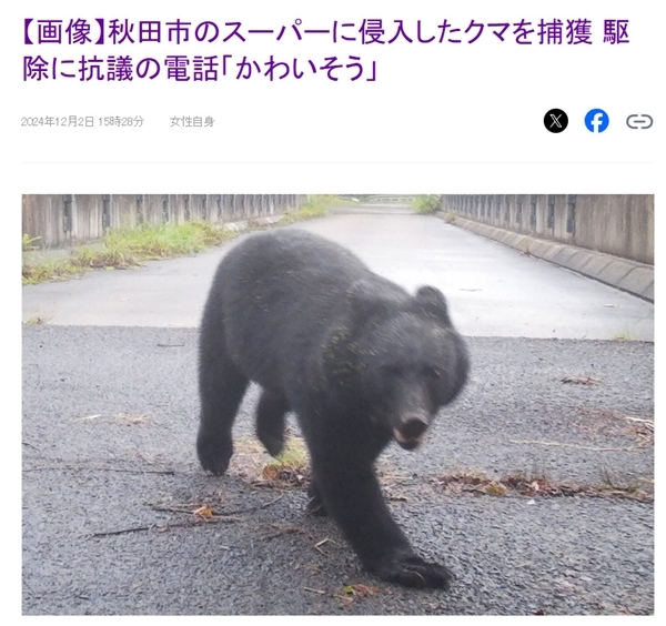 日本一机场有熊出没在跑道上撒欢:致10个航班取消