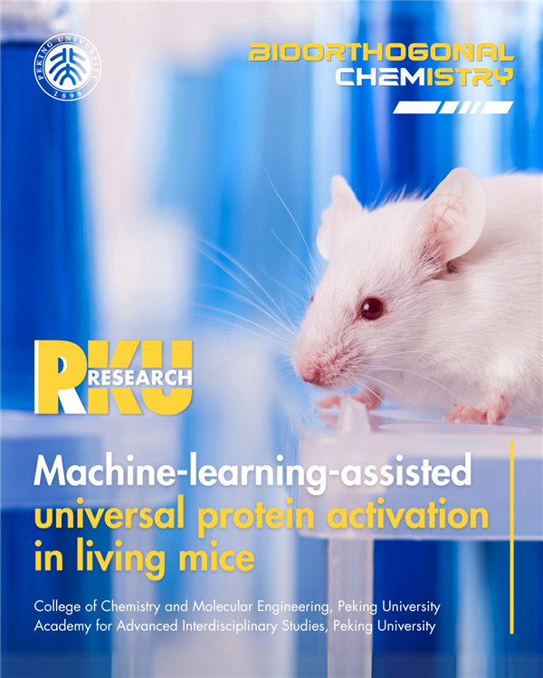 新突破！北大教授找到激活蛋白质的“万能钥匙”