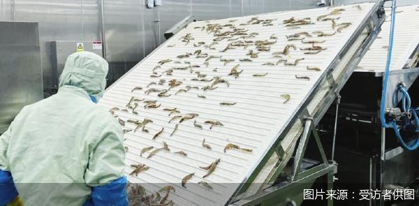 图片来源：受访者供图