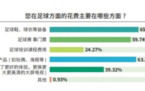 《中国足球环境及未来发展白皮书（2025）》发布：100吋大屏电视成球迷客厅新标配