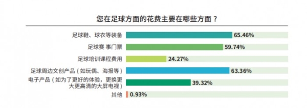 《中国足球环境及未来发展白皮书（2025）》发布：100吋大屏电视成球迷客厅新标配 