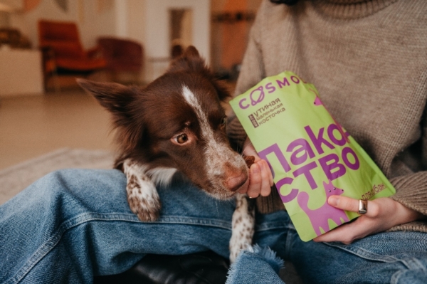 Cosmopet宠物零食四大核心成分，带来穿越时空的营养守护 