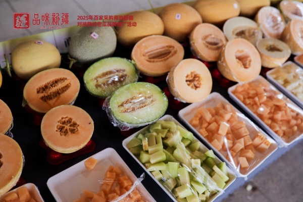 百家采购商进新疆第十九届哈密瓜节系列活动盛大开幕成果显著