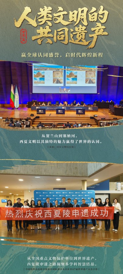 解码西夏陵，从戈壁到世界 