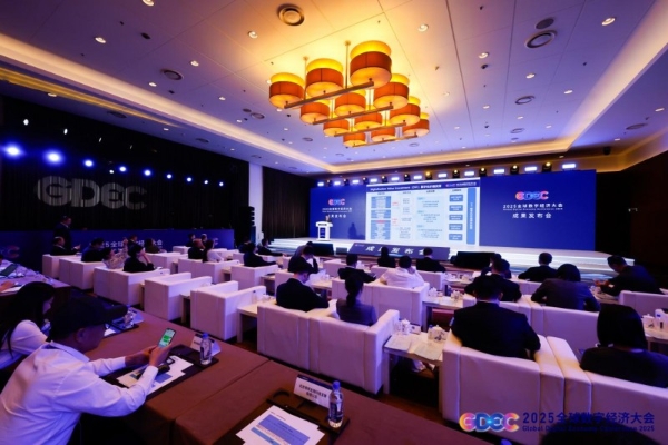  上市公司数字化价值投资（DVI）研究成果 在2025全球数字经济大会发布