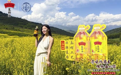 云卷青稞碧，日照菜花金，金龙鱼外婆乡小榨菜籽油菜花节带你闯入油画版夏日梦境