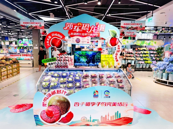 沪喀携手打造“云上甜蜜” 2025新疆喀什水果节美食节盛大启幕 