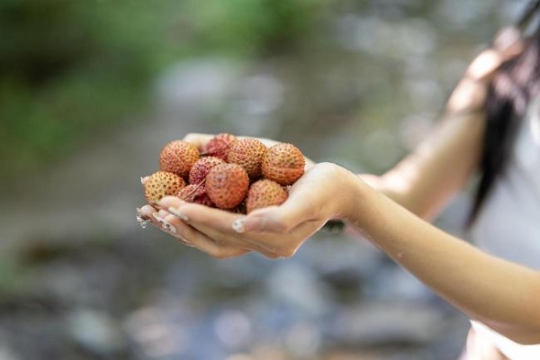 定格蝉鸣与光影 佳能EOS R100青春专微夏日人像拍摄指南