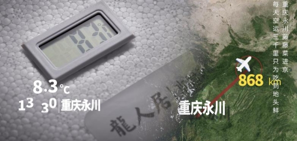 央视点名推荐!龙人居藤藤菜凭啥“鲜”声夺人?