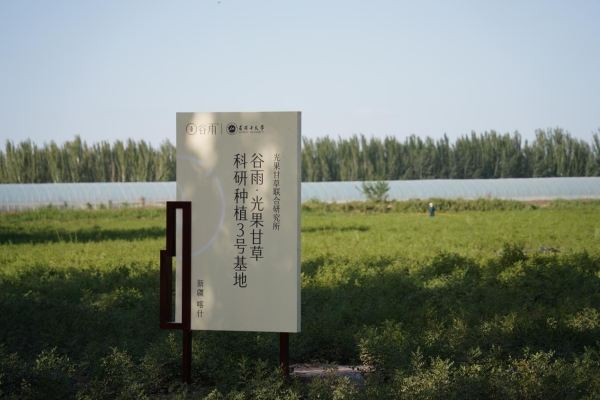 谷雨首份ESG报告出炉：讲述从中国心到中国“芯”的责任行动