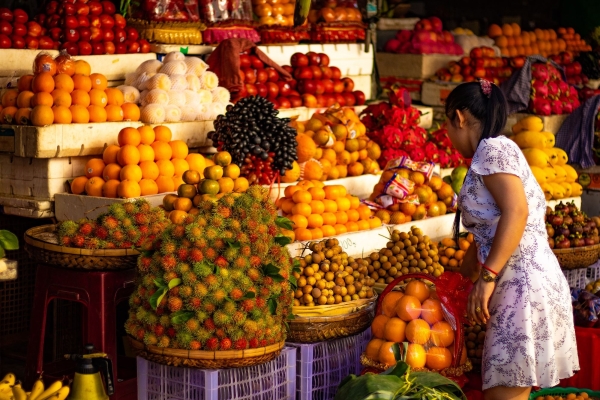 秘鲁制造业前景备受关注，中资企业投资机遇引热议 