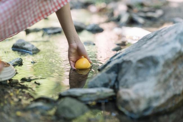 定格蝉鸣与光影 佳能EOS R100青春专微夏日人像拍摄指南