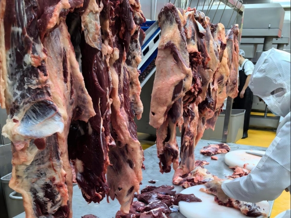 牛肉市场价格上涨,厚府牛油拌饭坚守品质扶持加盟商
