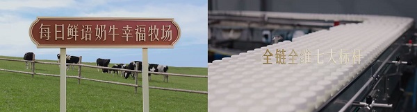 每日鲜语x《长安的荔枝》：从借势到造势，解锁热剧IP营销新范式 