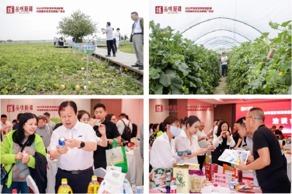 百家采购商进新疆第十九届哈密瓜节系列活动盛大开幕成果显著