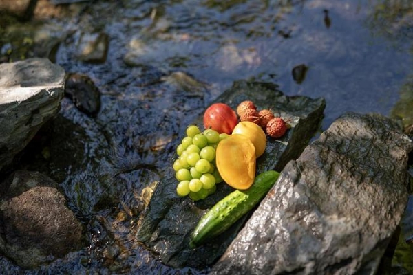 定格蝉鸣与光影 佳能EOS R100青春专微夏日人像拍摄指南