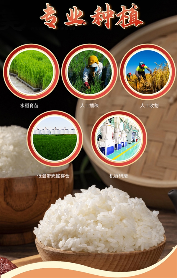 刚需速囤！五稻田东北五常大米10斤37.9元