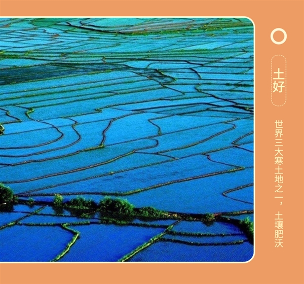 刚需速囤！五稻田东北五常大米10斤37.9元