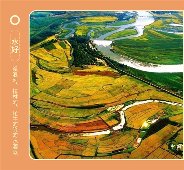 刚需速囤！五稻田东北五常大米10斤37.9元