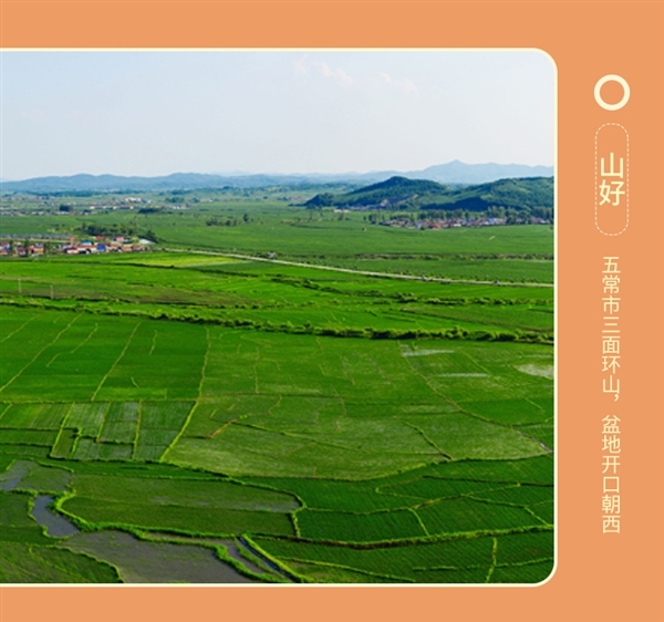 刚需速囤！五稻田东北五常大米10斤37.9元