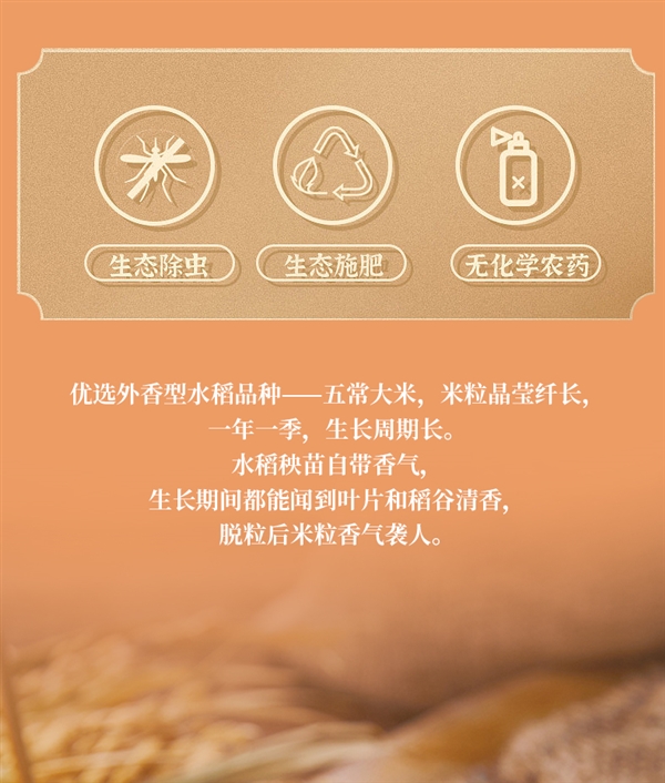 刚需速囤！五稻田东北五常大米10斤37.9元