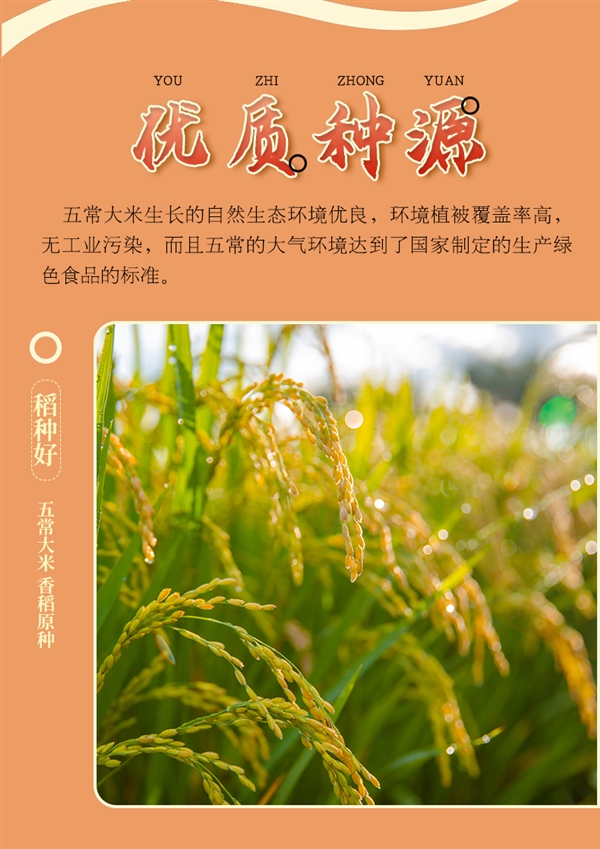 刚需速囤！五稻田东北五常大米10斤37.9元