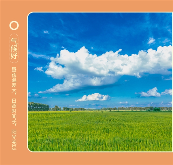 刚需速囤！五稻田东北五常大米10斤37.9元