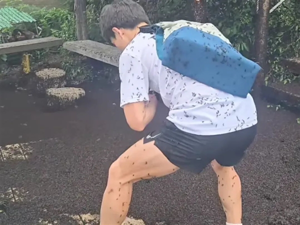 喜欢一边交配一边飞行！韩国“爱情虫”大爆发