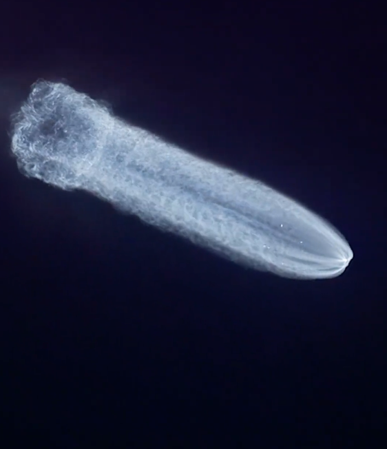 天舟九号飞船发射后壮观一幕：巨型“水母”游过太空