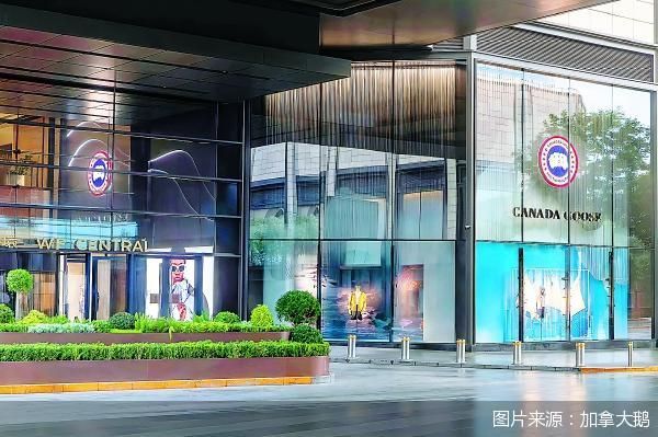 图片来源：加拿大鹅