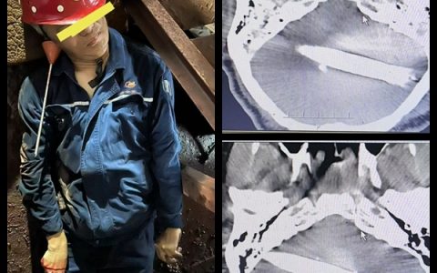 30608708-61b2-4539-9d0e-0b0b3a4c71e4