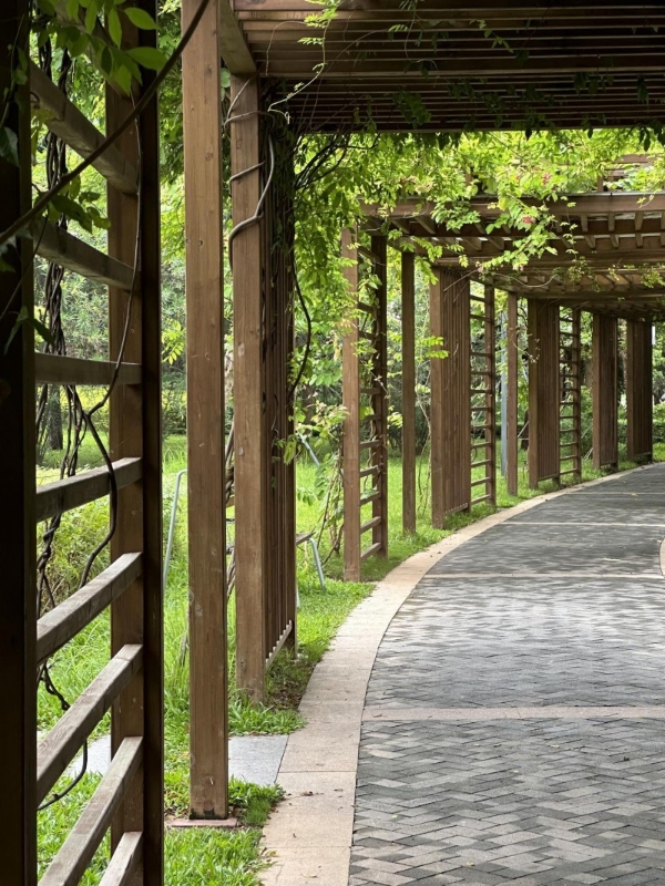 松典相机：承袭美能达光影基因，国货影像的硬核传承 