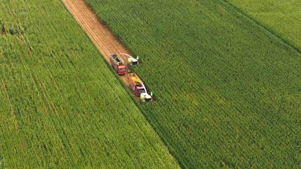 科技赋能，绿色共生----中化农业MAP发布《2024绿色高质量发展报告 》 