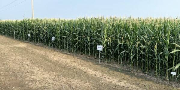 科技赋能，绿色共生----中化农业MAP发布《2024绿色高质量发展报告 》 