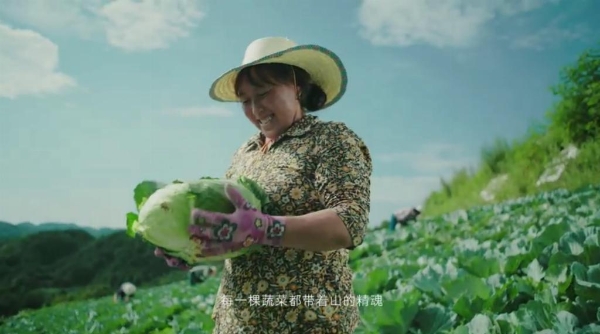 “曾家山蔬”品牌建设迎新动能，杭州产销对接会探索乡村振兴新路径 