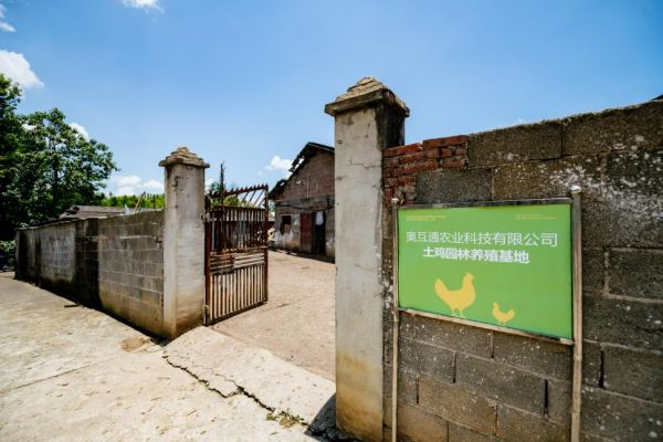 祥农嫂：重塑高端肉品标准，开创生态养殖新纪元