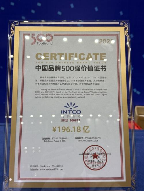 英科医疗上榜TopBrand 2025中国品牌500强 位居细分行业首位