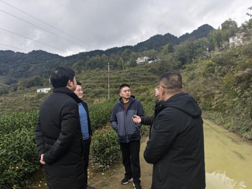 倾听来自大山深处的声音，让通信服务没有壁垒 