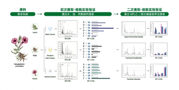 聚焦学术前沿，共话儿童健康，天津市医学会2025儿科学术年会即将召开！ 