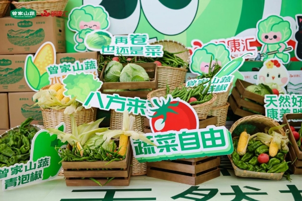 “曾家山蔬”品牌建设迎新动能，杭州产销对接会探索乡村振兴新路径 