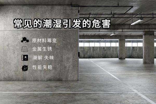 “暴雨侵袭，地下室返潮发霉？百奥变频除湿机助力灾后焕新” 