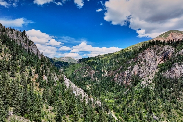 广汽丰田“一路青山·生机森林”再启程，聚力共谱生态守护新篇章 