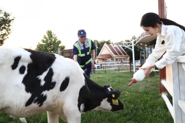 杨幂：做真实的选择，过严肃的生活 
