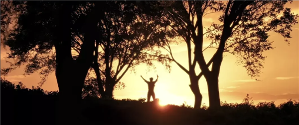 “饺子与醋”迟早害死姜文