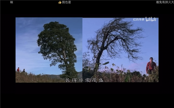 “饺子与醋”迟早害死姜文