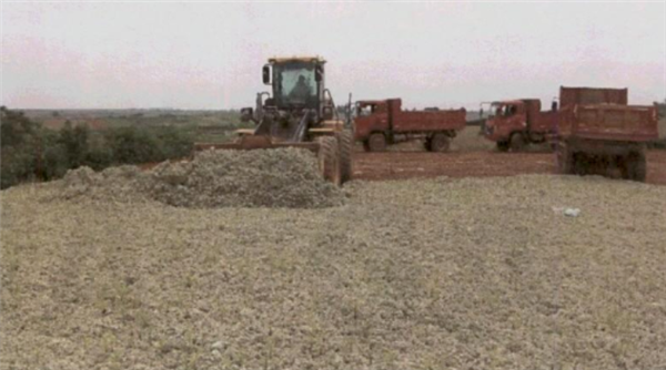 男子租25亩耕地盗挖8400吨膨润土 被判非法采矿罪获刑