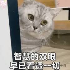 人形机器人终于学会洗碗了