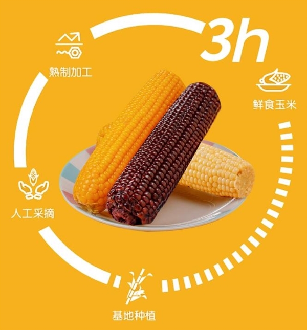 鲜香甜糯 刘老杆东北甜糯玉米16.9元8穗大促