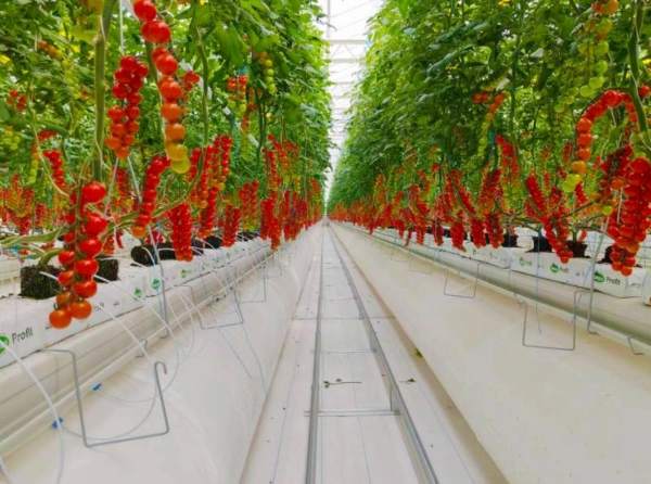 春沐源科技农业CEO赖赣峰出席亚洲国际果蔬展圆桌会议 阐述现代科技农业发展新理念 