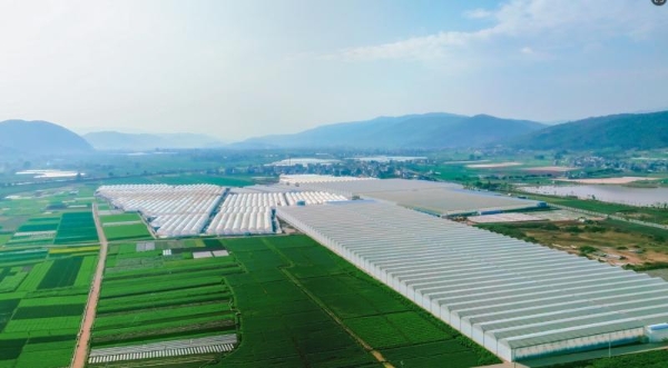 春沐源科技农业CEO赖赣峰出席亚洲国际果蔬展圆桌会议 阐述现代科技农业发展新理念 